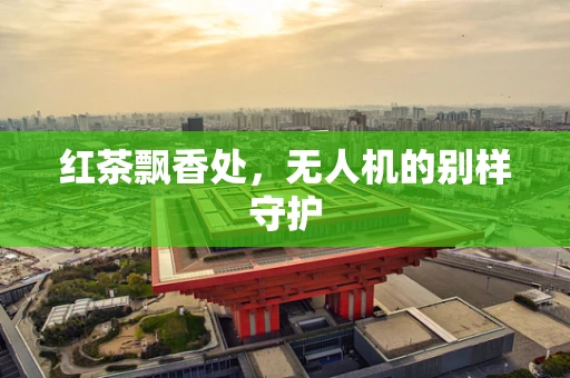 红茶飘香处，无人机的别样守护