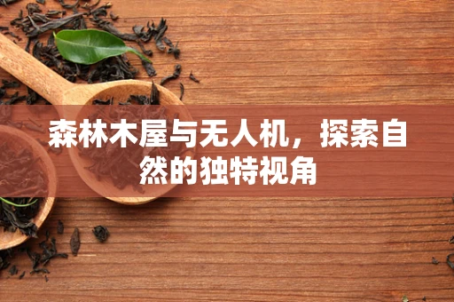 森林木屋与无人机，探索自然的独特视角