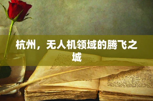 杭州，无人机领域的腾飞之城