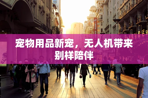 宠物用品新宠，无人机带来别样陪伴