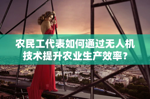 农民工代表如何通过无人机技术提升农业生产效率？