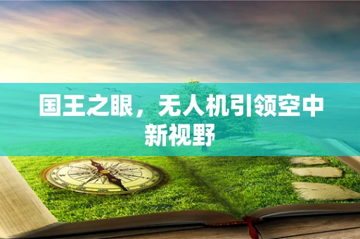 国王之眼，无人机引领空中新视野