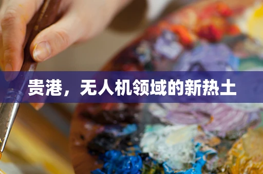 贵港，无人机领域的新热土