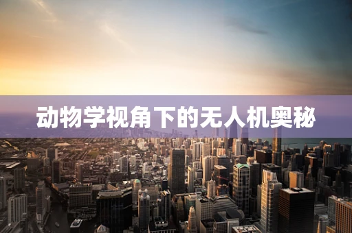 动物学视角下的无人机奥秘