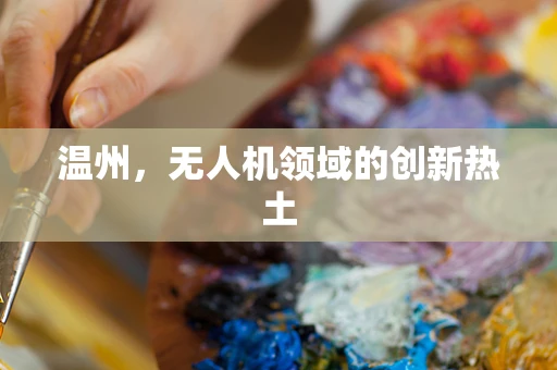 温州，无人机领域的创新热土