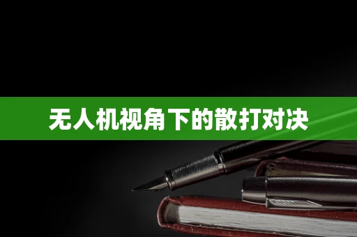 无人机视角下的散打对决