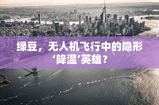 绿豆，无人机飞行中的隐形‘降温’英雄？