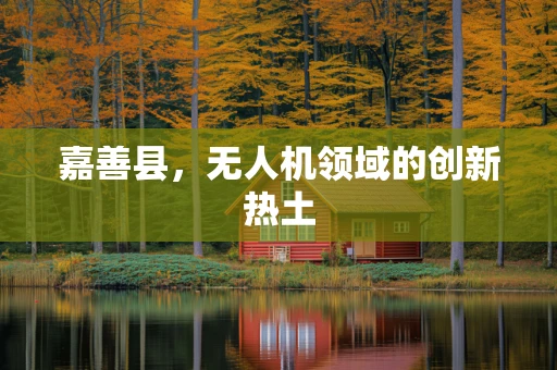 嘉善县，无人机领域的创新热土