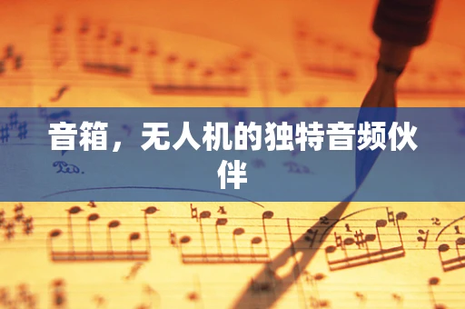 音箱，无人机的独特音频伙伴