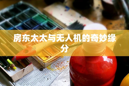 房东太太与无人机的奇妙缘分