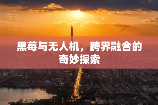 黑莓与无人机，跨界融合的奇妙探索