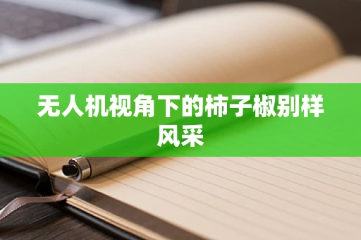 无人机视角下的柿子椒别样风采