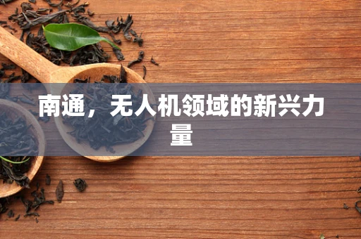 南通，无人机领域的新兴力量