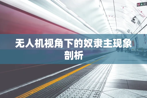 无人机视角下的奴隶主现象剖析