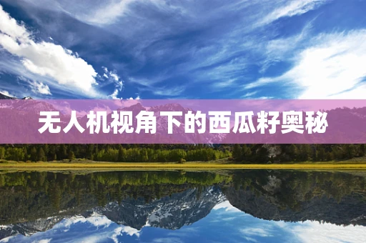 无人机视角下的西瓜籽奥秘