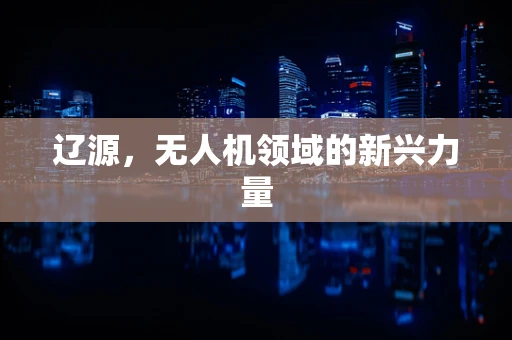 辽源，无人机领域的新兴力量