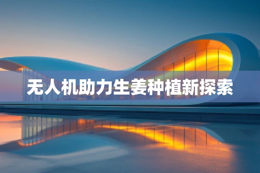 无人机助力生姜种植新探索