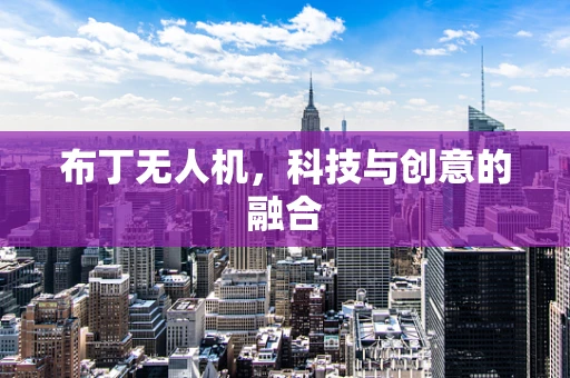 布丁无人机，科技与创意的融合