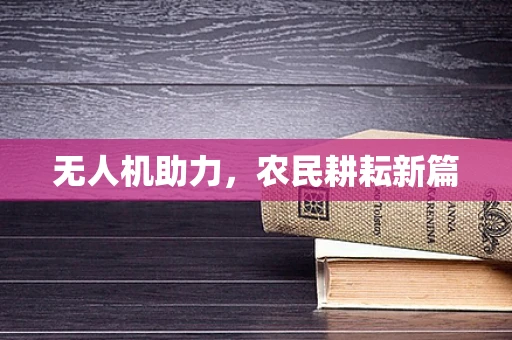 无人机助力，农民耕耘新篇