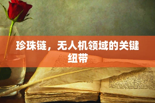 珍珠链，无人机领域的关键纽带