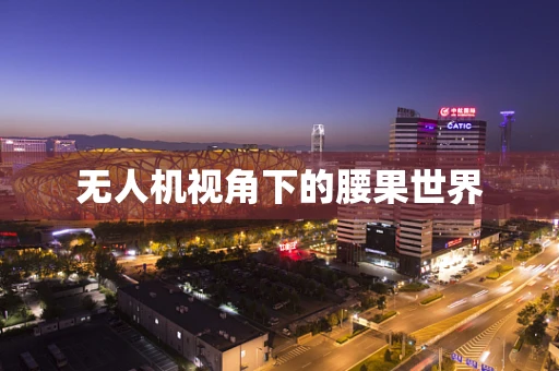 无人机视角下的腰果世界