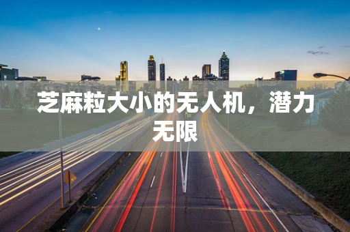 芝麻粒大小的无人机，潜力无限