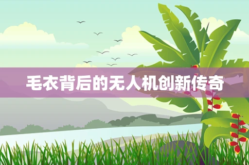 毛衣背后的无人机创新传奇