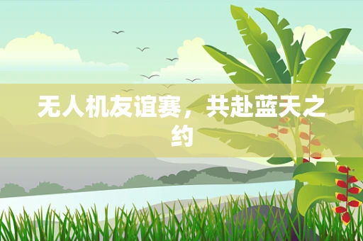 无人机友谊赛，共赴蓝天之约