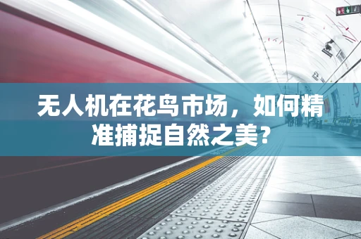 无人机在花鸟市场，如何精准捕捉自然之美？