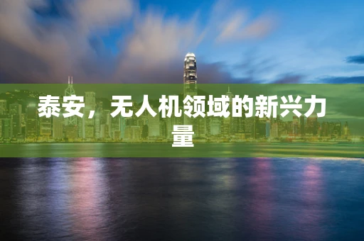 泰安，无人机领域的新兴力量
