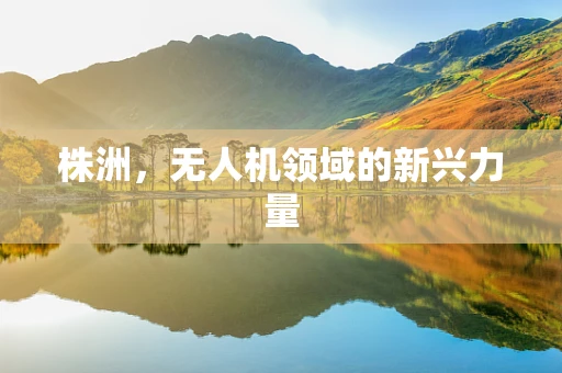 株洲，无人机领域的新兴力量