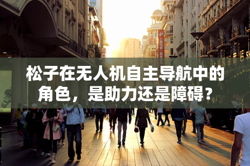松子在无人机自主导航中的角色，是助力还是障碍？
