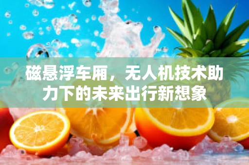 磁悬浮车厢，无人机技术助力下的未来出行新想象