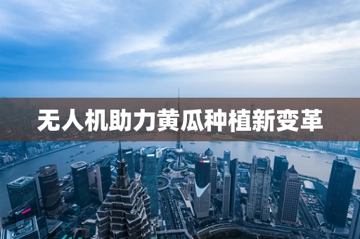 无人机助力黄瓜种植新变革