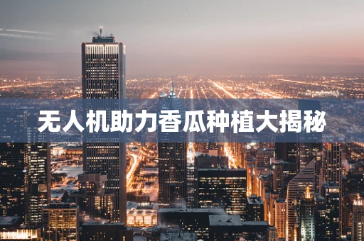 无人机助力香瓜种植大揭秘