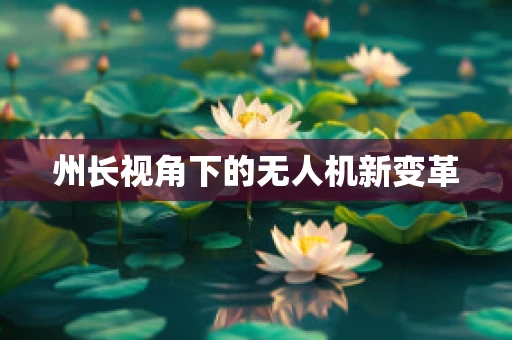 州长视角下的无人机新变革