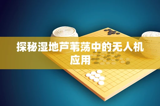 探秘湿地芦苇荡中的无人机应用