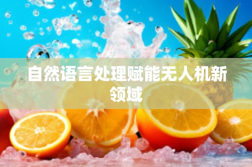 自然语言处理赋能无人机新领域