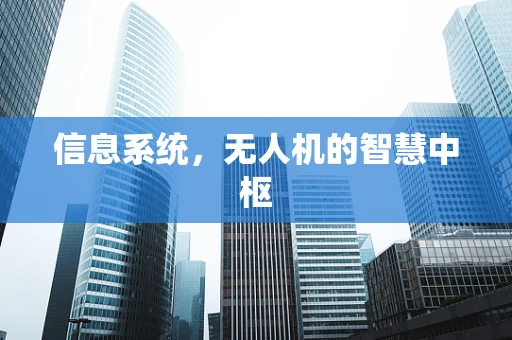 信息系统，无人机的智慧中枢
