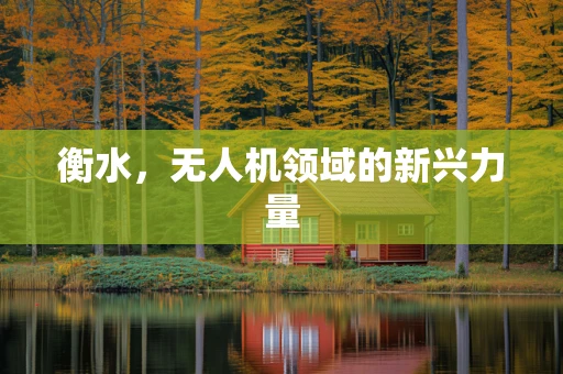 衡水，无人机领域的新兴力量