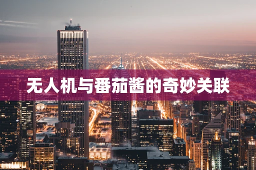 无人机与番茄酱的奇妙关联