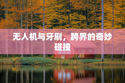 无人机与牙刷，跨界的奇妙碰撞
