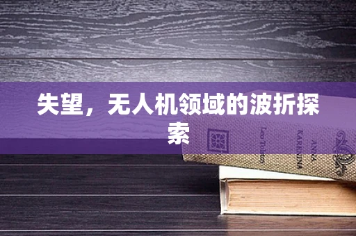 失望，无人机领域的波折探索