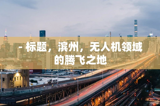 - 标题，滨州，无人机领域的腾飞之地