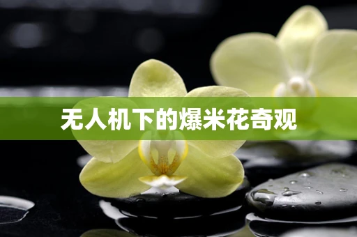 无人机下的爆米花奇观