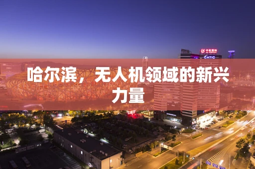 哈尔滨，无人机领域的新兴力量