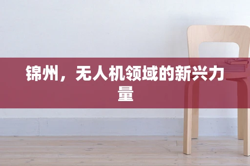 锦州，无人机领域的新兴力量