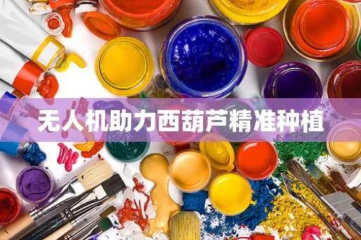 无人机助力西葫芦精准种植
