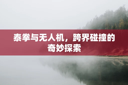 泰拳与无人机，跨界碰撞的奇妙探索