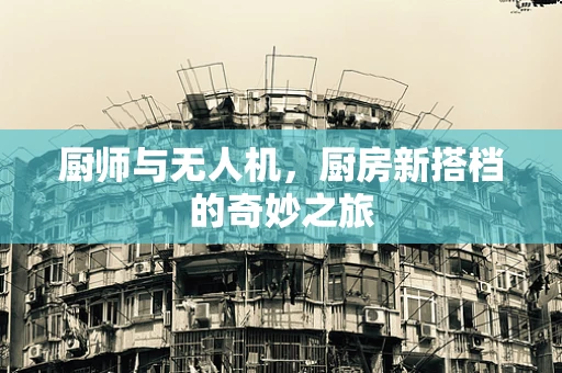 厨师与无人机，厨房新搭档的奇妙之旅